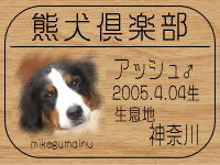 �I�[�i�[����̂a�k�n�f�ւf�n�I